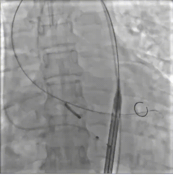 27.gif