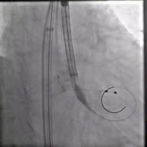 9.gif