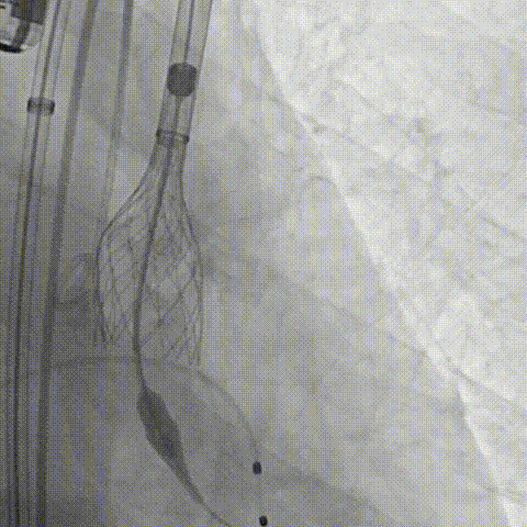 9.gif