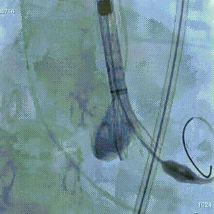 8.gif